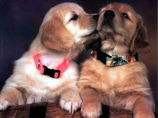 Юлия Давыдова