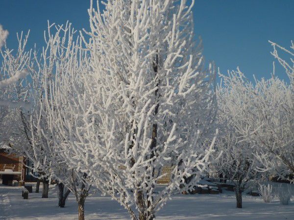 Сергей Манькин