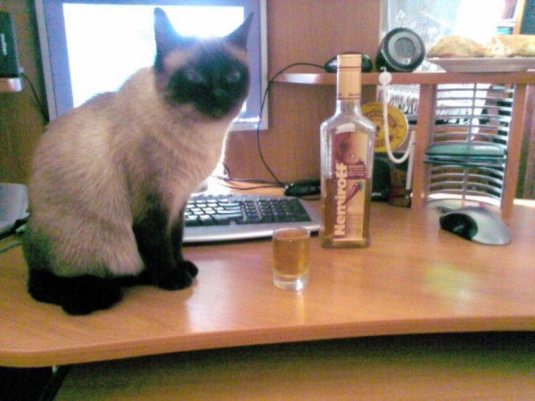 Азамат Сабуров