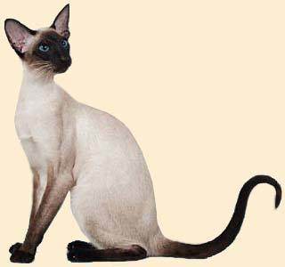 Наталья Гончар