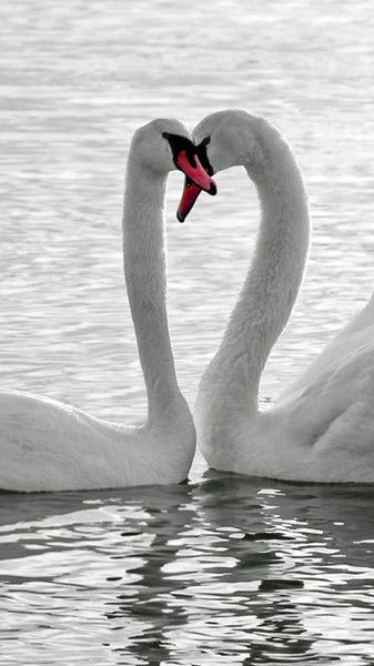 Елена Калинина