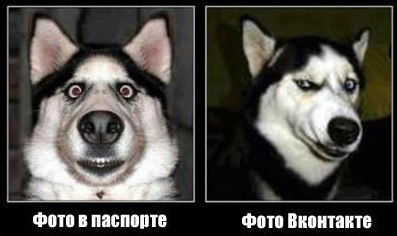 Санжар Жуманов