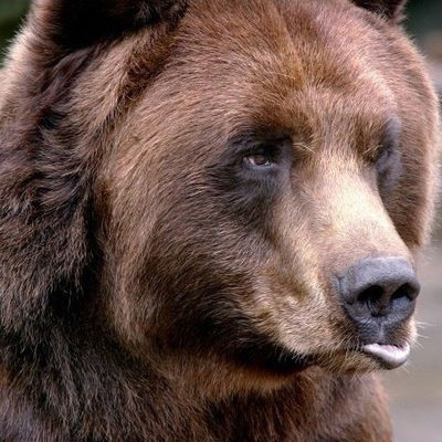 Александр Чикуров