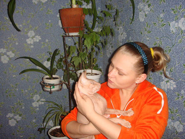 Светлана Небоян(Кашина)