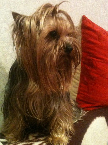 Екатерина Пономаренко