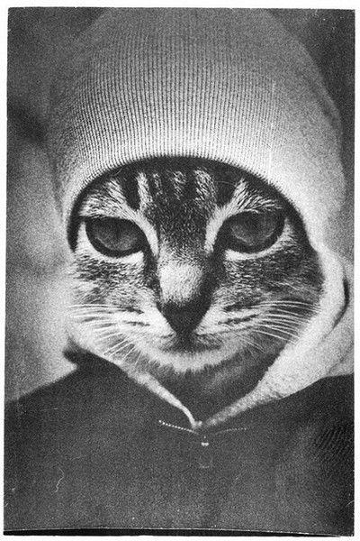 Паша Лазарев