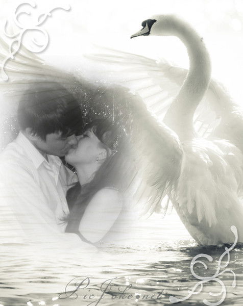 Александр Руденко