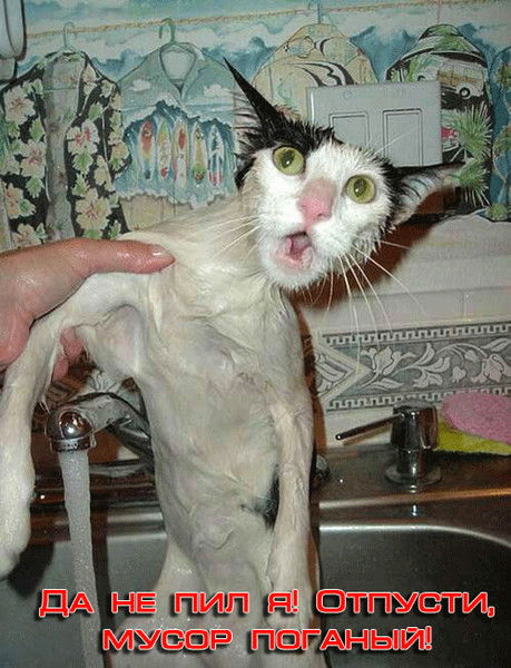 Валерий Козлов