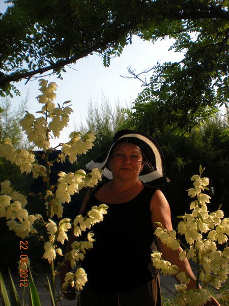 Венера Вафина