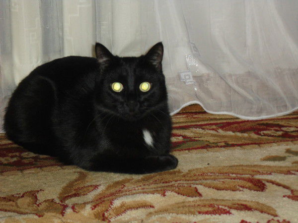 Ираида Патрушева