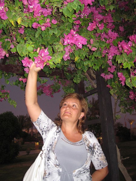 Татьяна Матвеенко