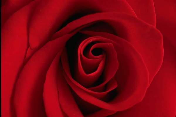 Гульмира Досанова