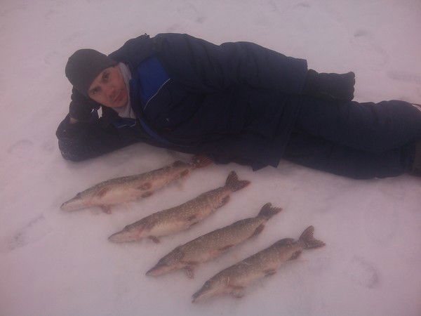 Арсен Ибрагимов