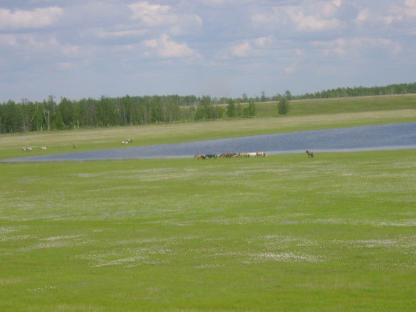 Лена Слепцова