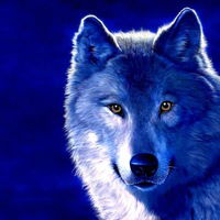 Артём Шульга