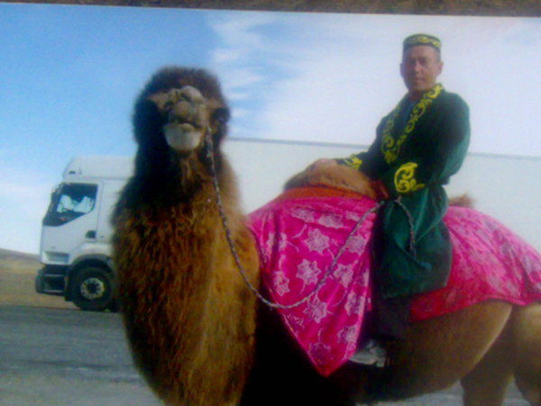 Александр Степунин