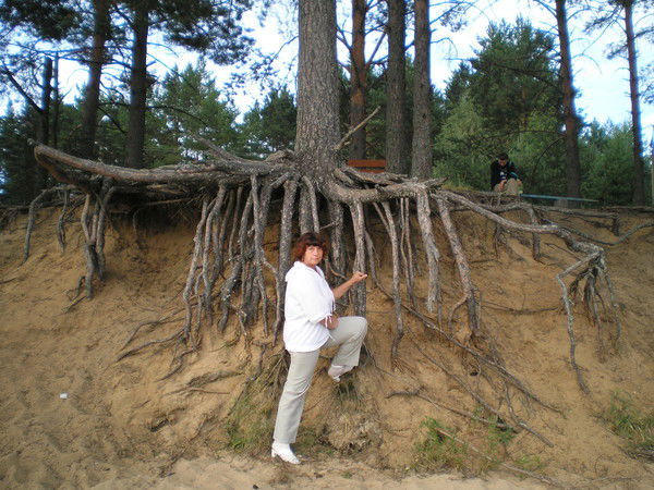 Татьяна Демина