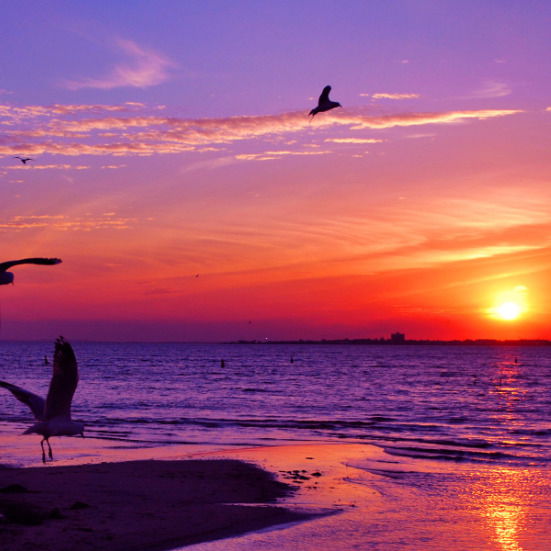 Олеся Антохи