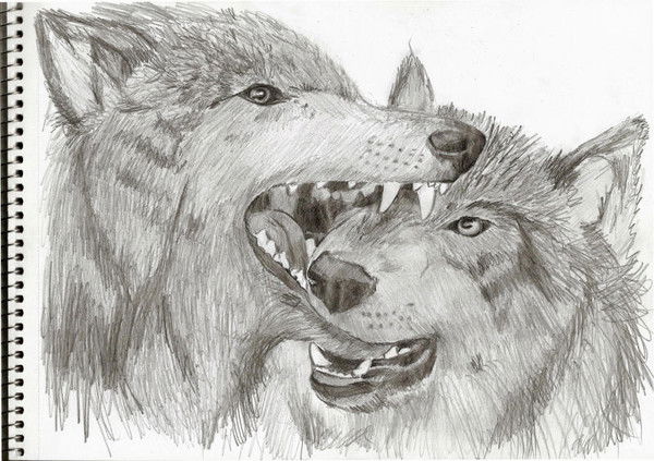 Дмитрий Холин