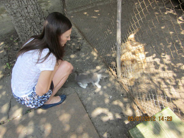 Татьяна Авраменко