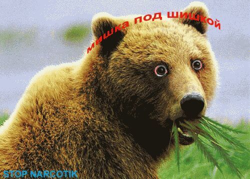 Игорь Александров