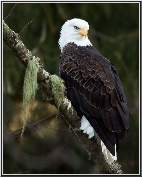 Сергей Николаевич