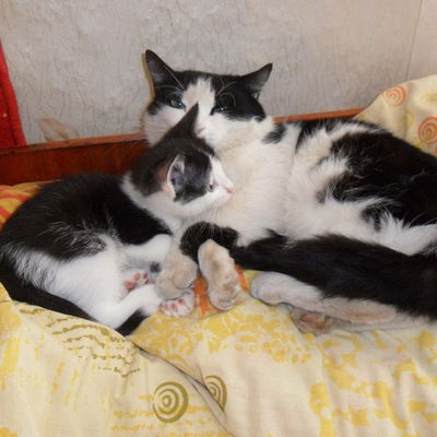 Данил Серединов