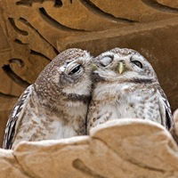 Славка Касьянов