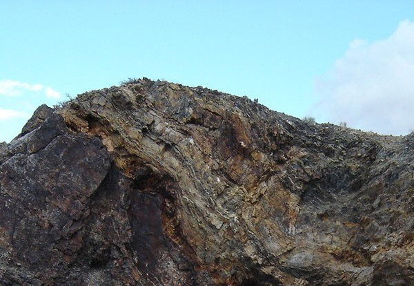 Тоо Фирма Балауса