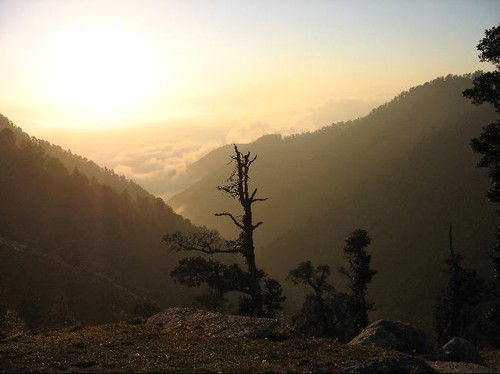 Марина Филатова