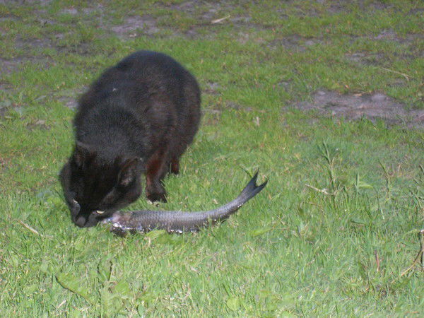 Алексей Липатов