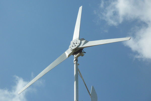 Денис Нефедов