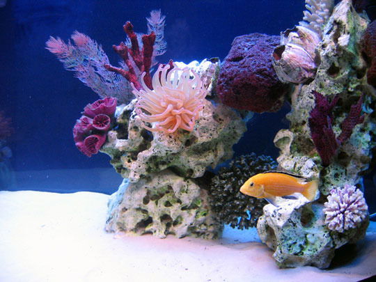 Юлия Митрохина