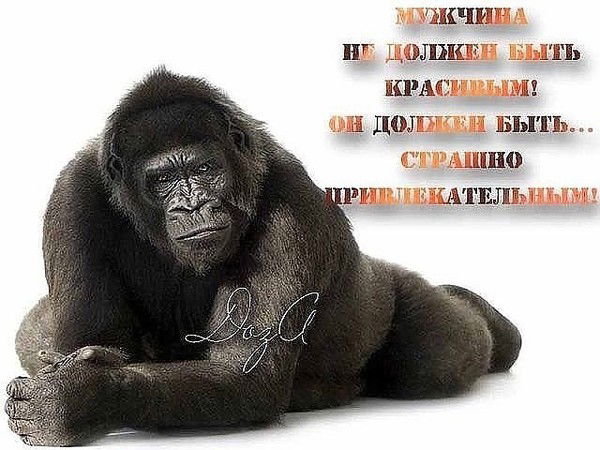 Владеслав Колягин