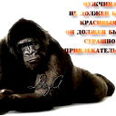Владеслав Колягин