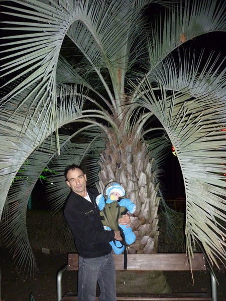 Владимир Изотов