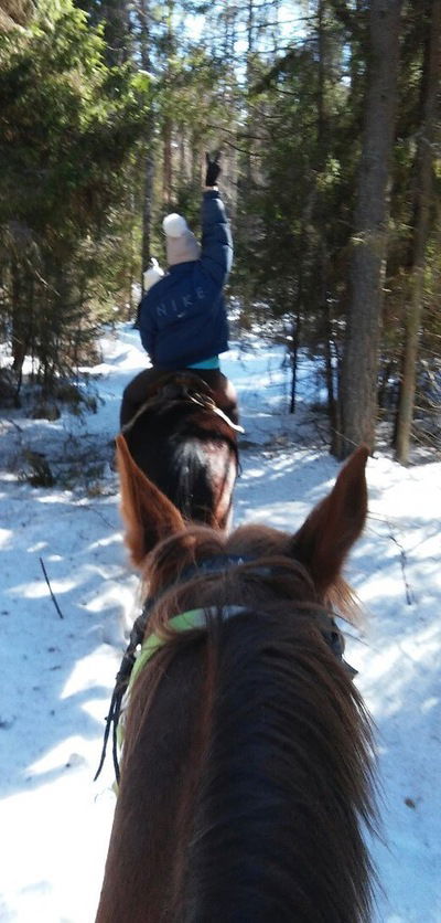 Катерина Игумнова