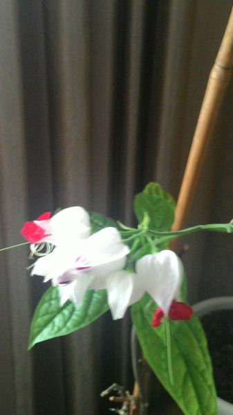 Рудских Марина