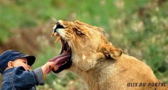 Владимир Давыдов