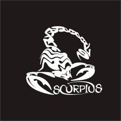 Дмитрий Пастухов