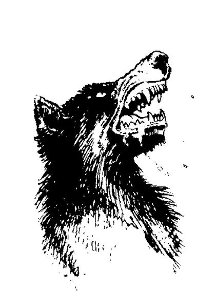 Виктор Вяхирев