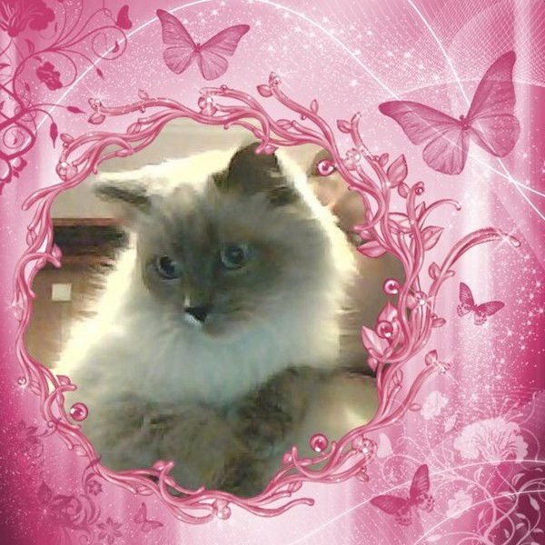 Лариса Савельева