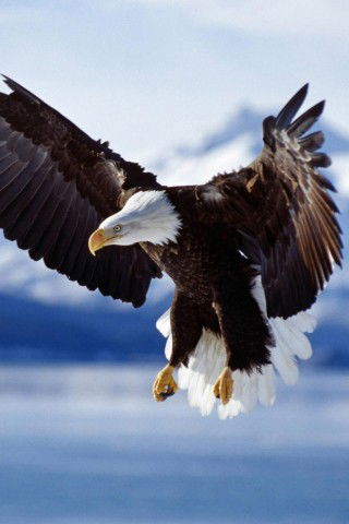 Дмитрий Долгих