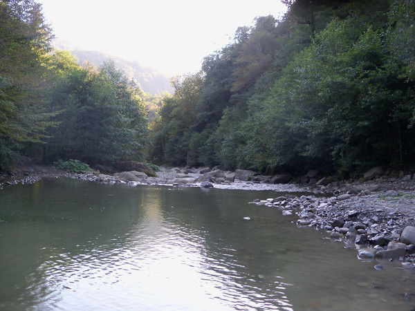 Екатерина Иванова