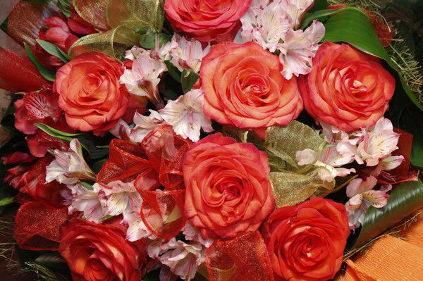 Татьяна Клочкова