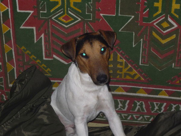 Алексей Тяпышев