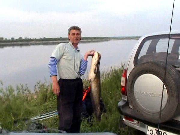 Михаил Гребенев