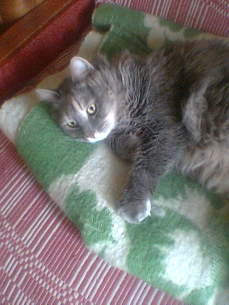 Ирина Угрюмова