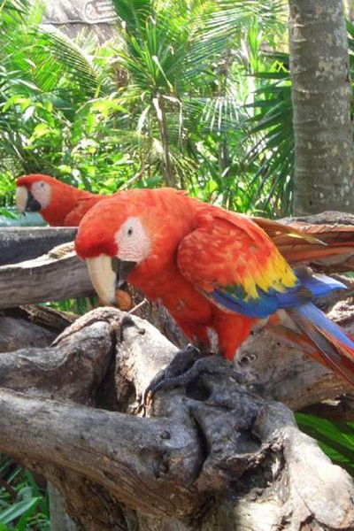 Анастасия Петухова