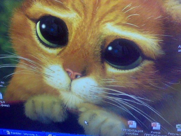 Алексей Камнев